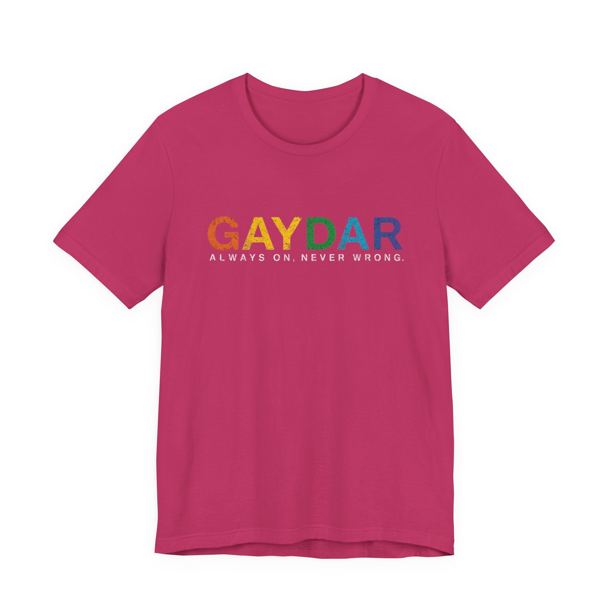 Rainbow Pride Gaydar Tee for LGBTQ+ Celebration, Unisex Shirt for Pride Month, Gay Rights, Gift for Friends, Fun Casual Wear