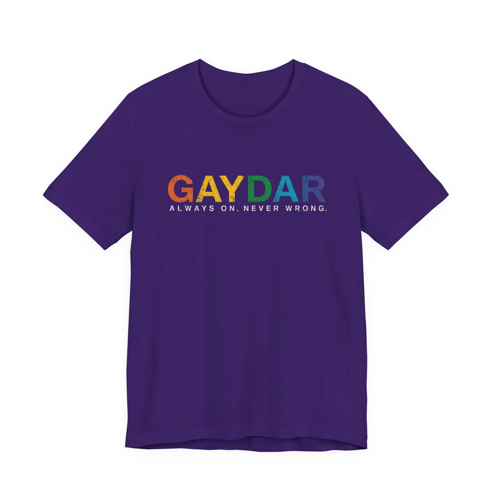 Rainbow Pride Gaydar Tee for LGBTQ+ Celebration, Unisex Shirt for Pride Month, Gay Rights, Gift for Friends, Fun Casual Wear