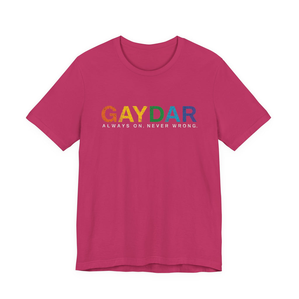 Rainbow Pride Gaydar Tee for LGBTQ+ Celebration, Unisex Shirt for Pride Month, Gay Rights, Gift for Friends, Fun Casual Wear